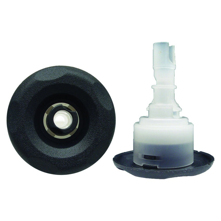 Sundance® / Jacuzzi® Mini DXL Jetface (300S, Textured Gray) – Part 