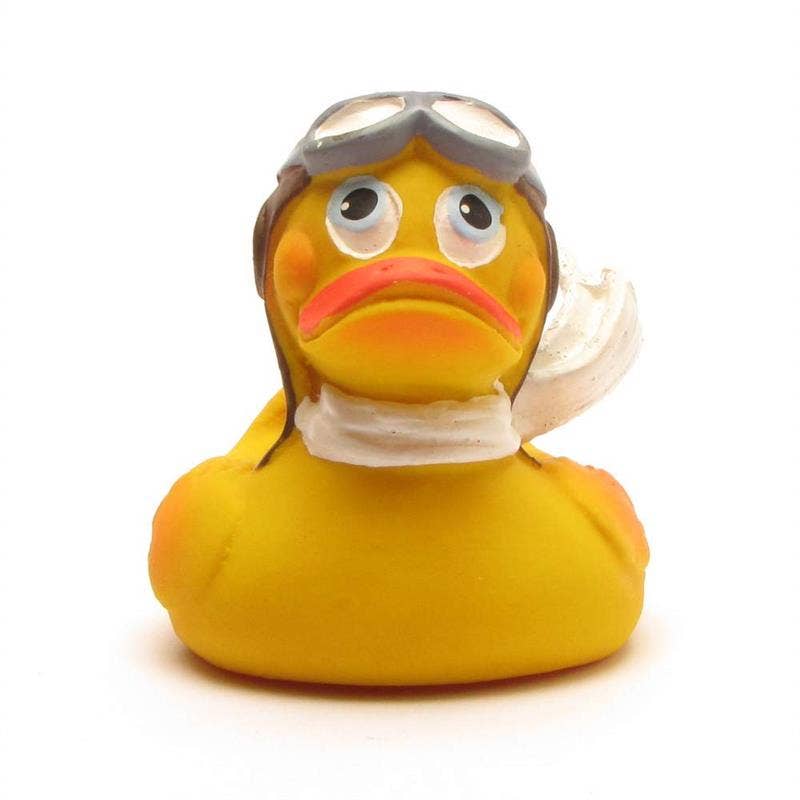 Pilot Duck