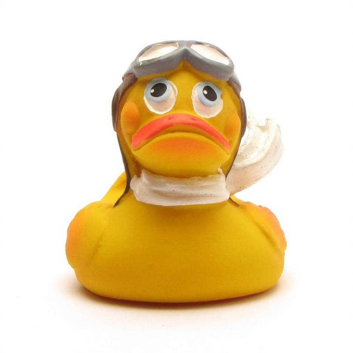 Pilot Duck