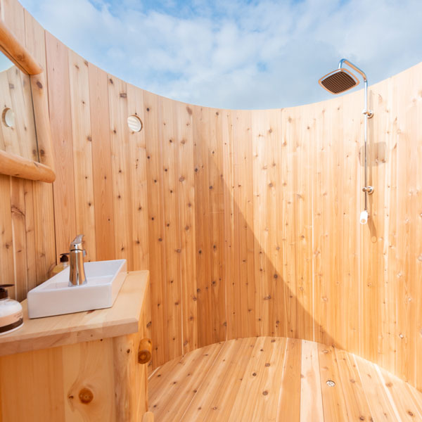 Skylight Washroom and Shower Combo