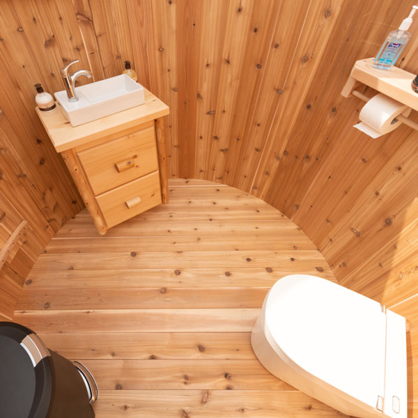 Skylight Washroom and Shower Combo