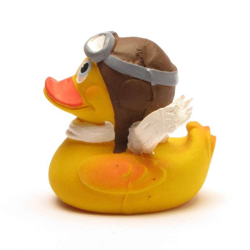 Pilot Duck
