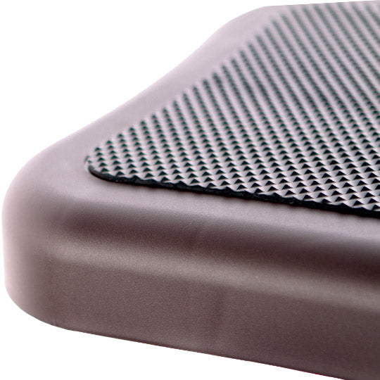 Leisure Concepts SmartStep